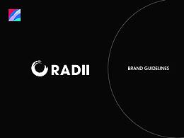 RADII 的VI手册设计