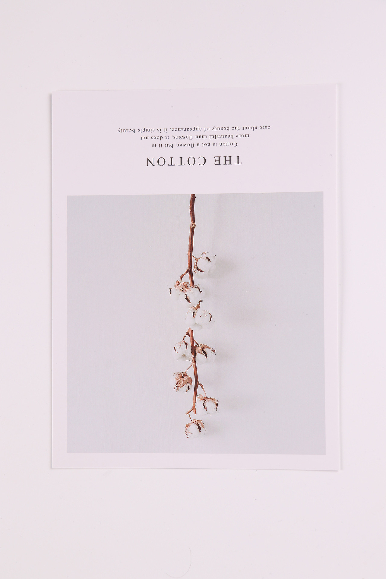 B08节庆礼品\C04-装扮用品\V04卡片