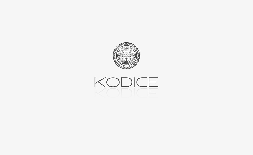 雨飞作品kodice马天奴官网设计互联网品牌形象设计