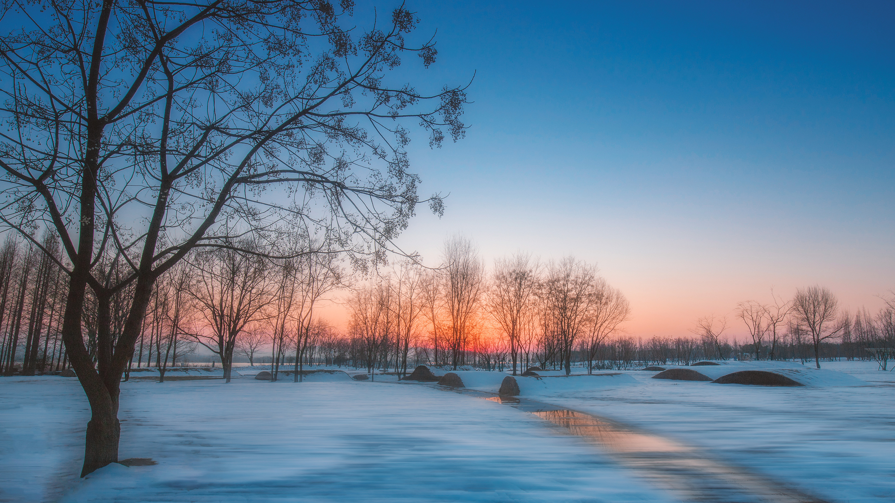 第一个下雪天日|摄影|人像摄影|偶然lastforever