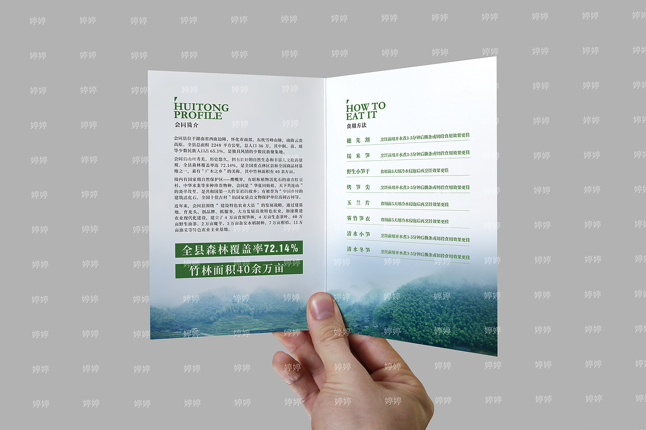 会同竹笋系列设计（图ZMjIxNjM2MDYw） - 品牌 - 站酷设计师设计师王婷婷原创素材 - 站酷ZCOOL