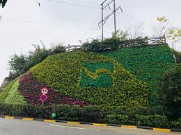 生态植物墙的优势在哪里?