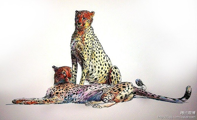 猫科动物练习（图ZNTQ5MzM1NDg=） - 创作习作 - 站酷设计师leaushown原创素材 - 站酷ZCOOL