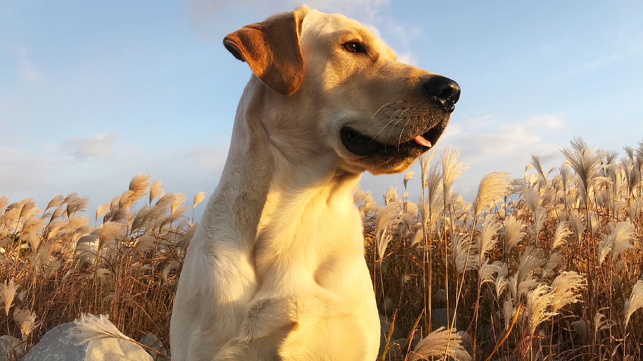 平面作品集（图ZMjA5NzYxNDMy） - 宣传物料 - 站酷设计师XXXTE原创素材 - 站酷ZCOOL