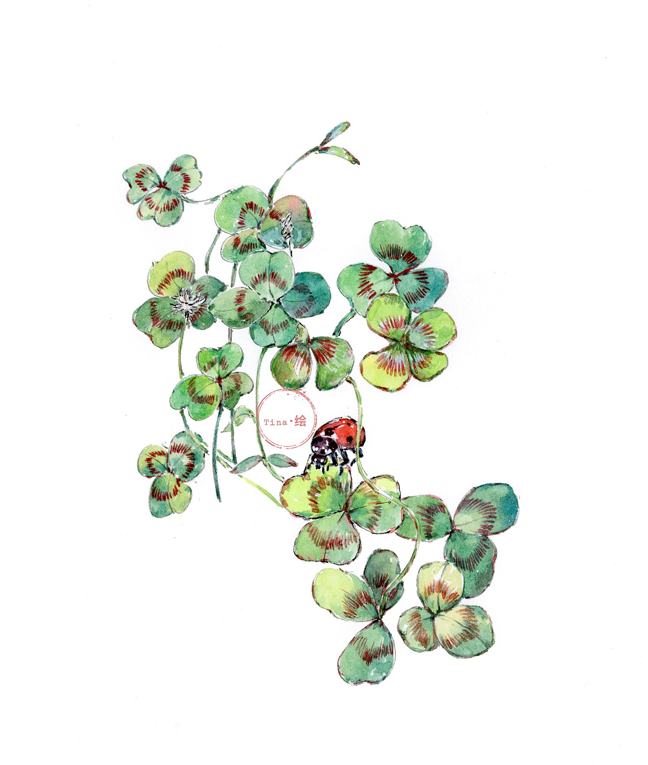 四叶草与七星瓢虫