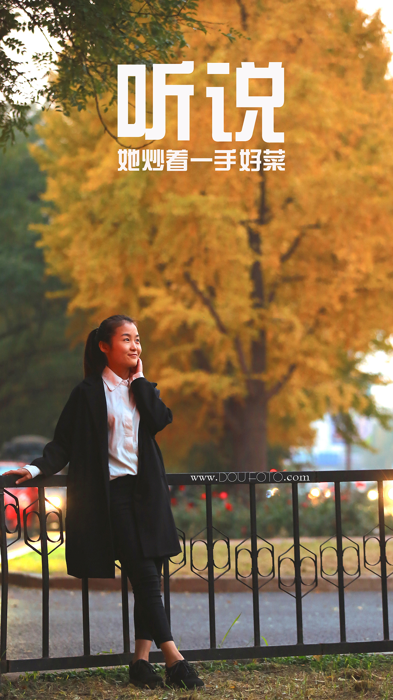 又一秋,银杏大道。