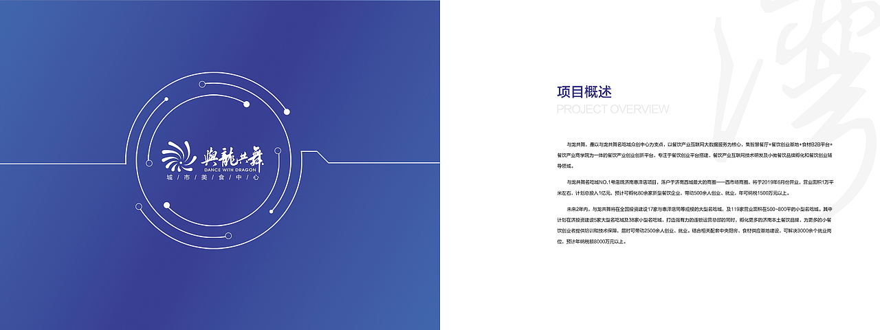 政府对接画册