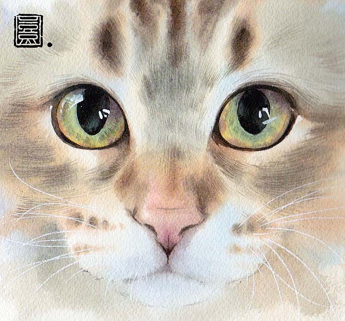 纯净的眼睛—— 2019水彩动物