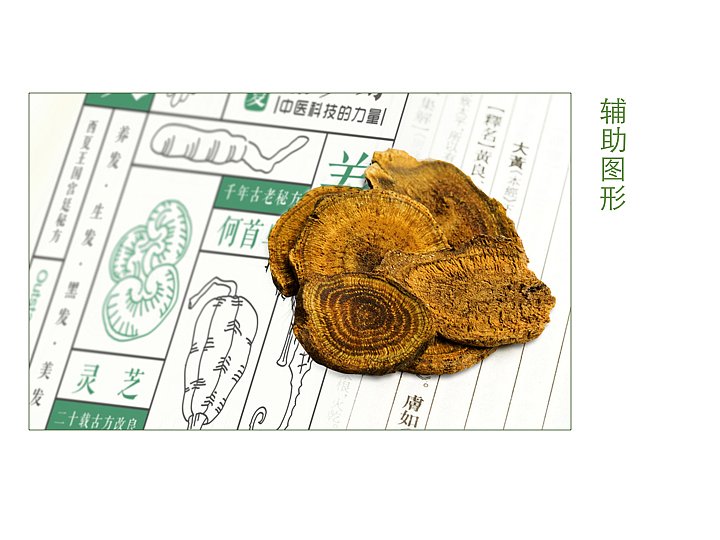 【FGJ】标识设计提案（图ZMTA5MTIzNTk2） - Logo - 站酷设计师yuqizhang原创素材 - 站酷ZCOOL