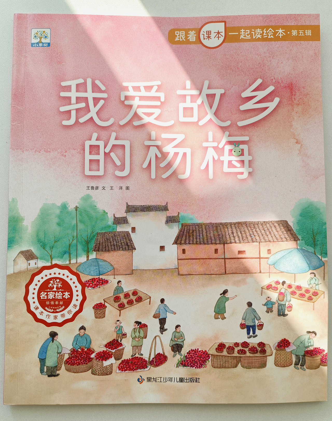 《我爱故乡的杨梅》儿童绘本