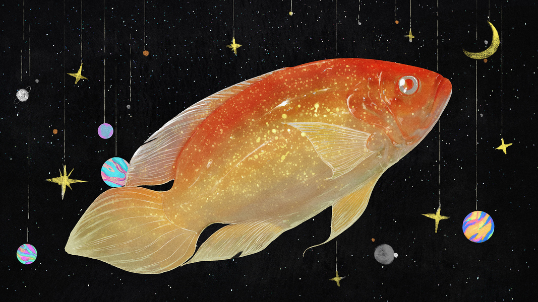 星球 宇宙 太空 宇航