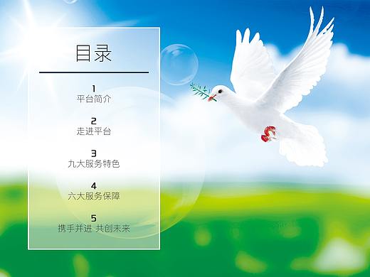 中国养老服务平台画册A版