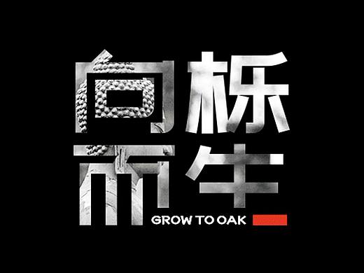 向栎而生