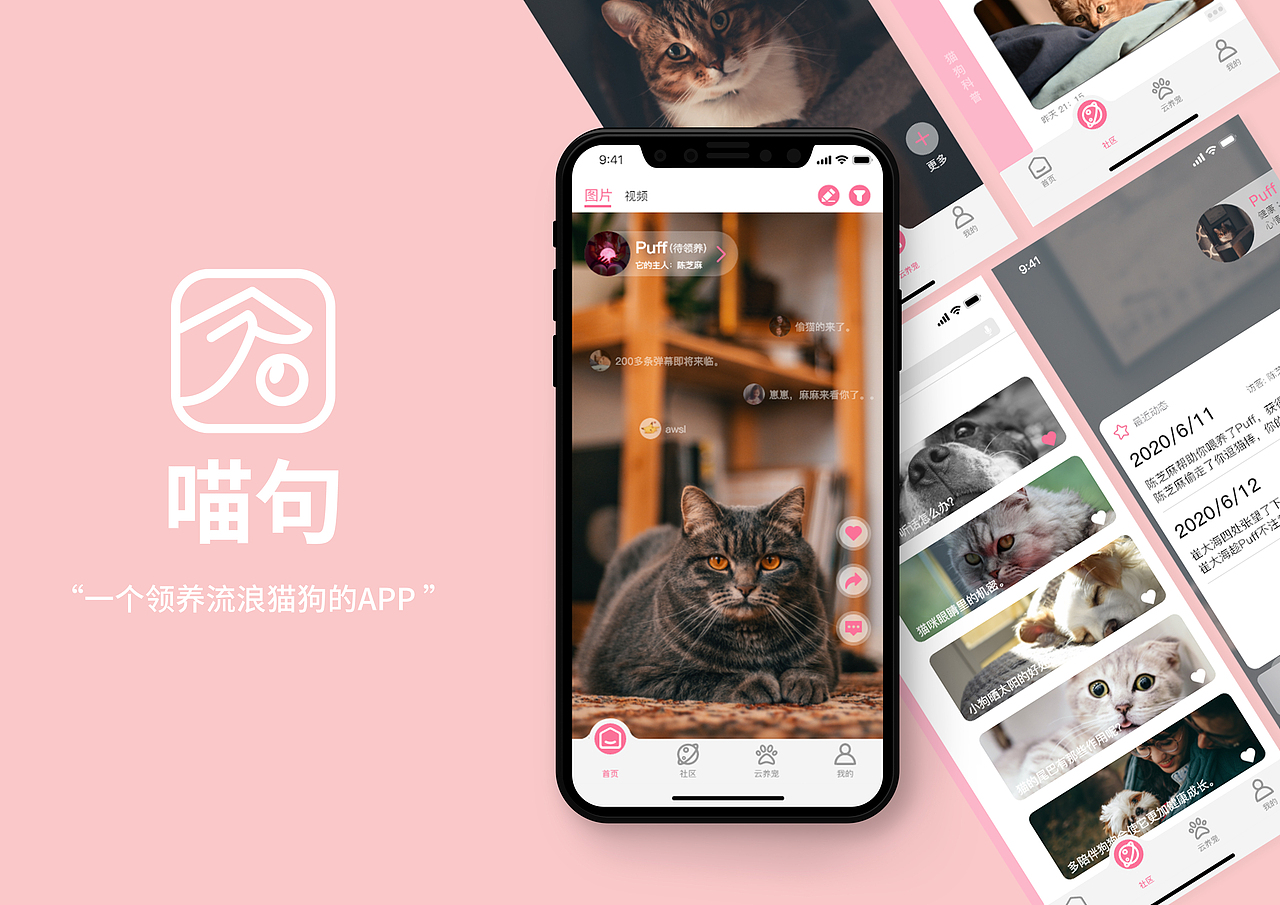 “喵句”流浪猫狗领养APP（图ZMjE0NzI3MTgw） - APP界面 - 站酷设计师biubiubiuaa原创素材 - 站酷ZCOOL