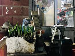 这大概就叫做生活吧