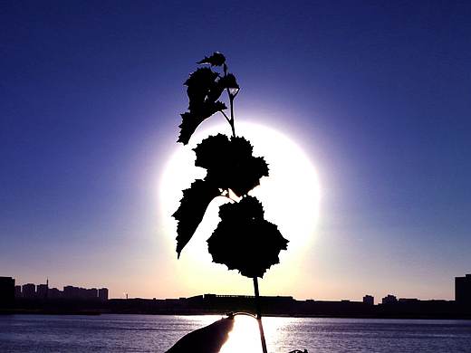 风景在身边（个人主页-ZMzkyMjE1NDQ=） - 风光摄影 - 站酷设计师靳妍原创素材 - 站酷ZCOOL