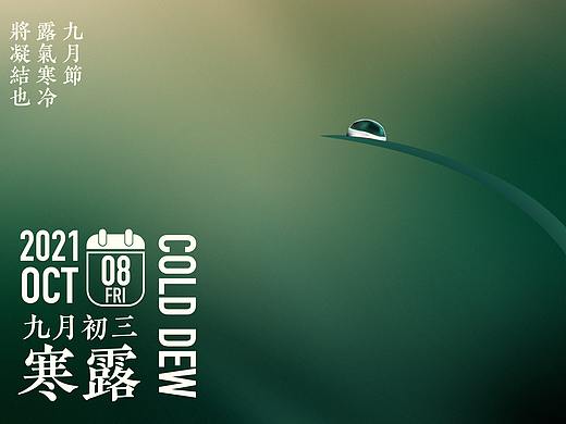 寒露海报