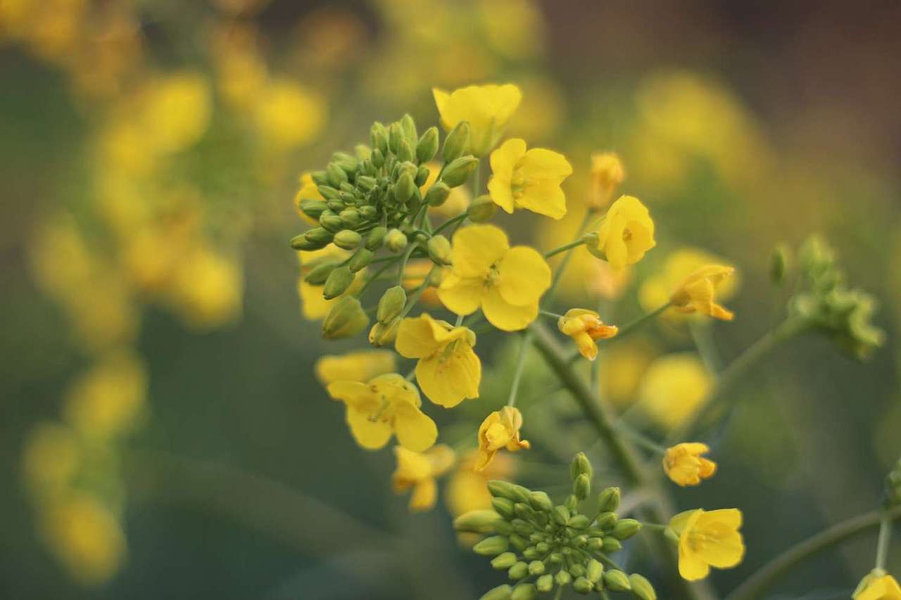 摄影（图ZMTk5NTQ0NDg0） - 风光摄影 - 站酷设计师方尽一原创素材 - 站酷ZCOOL