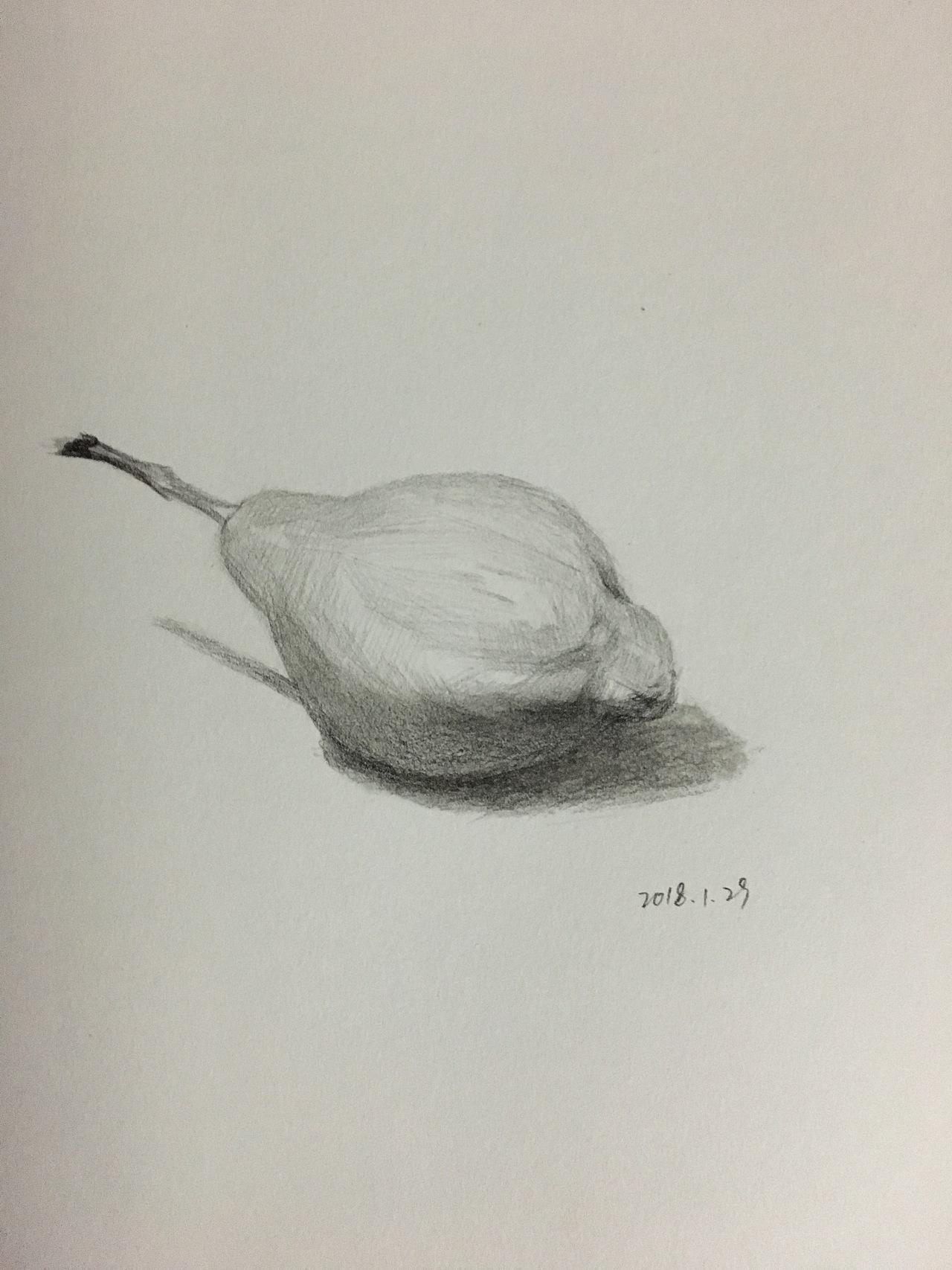 一组水果单体素描