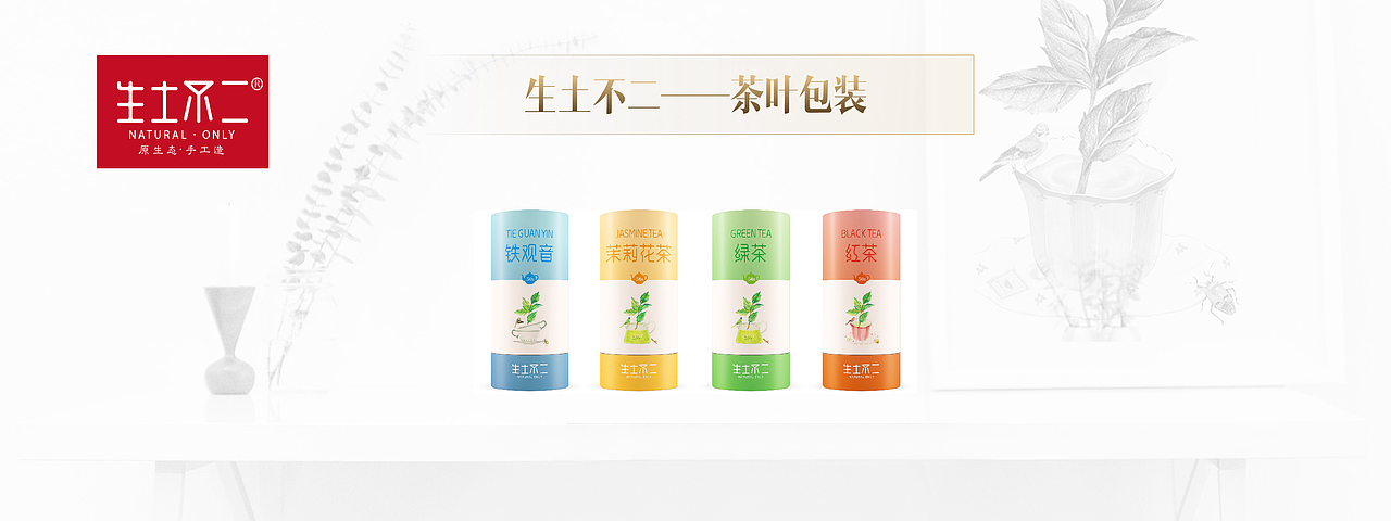 个人简历——十年磨一剑