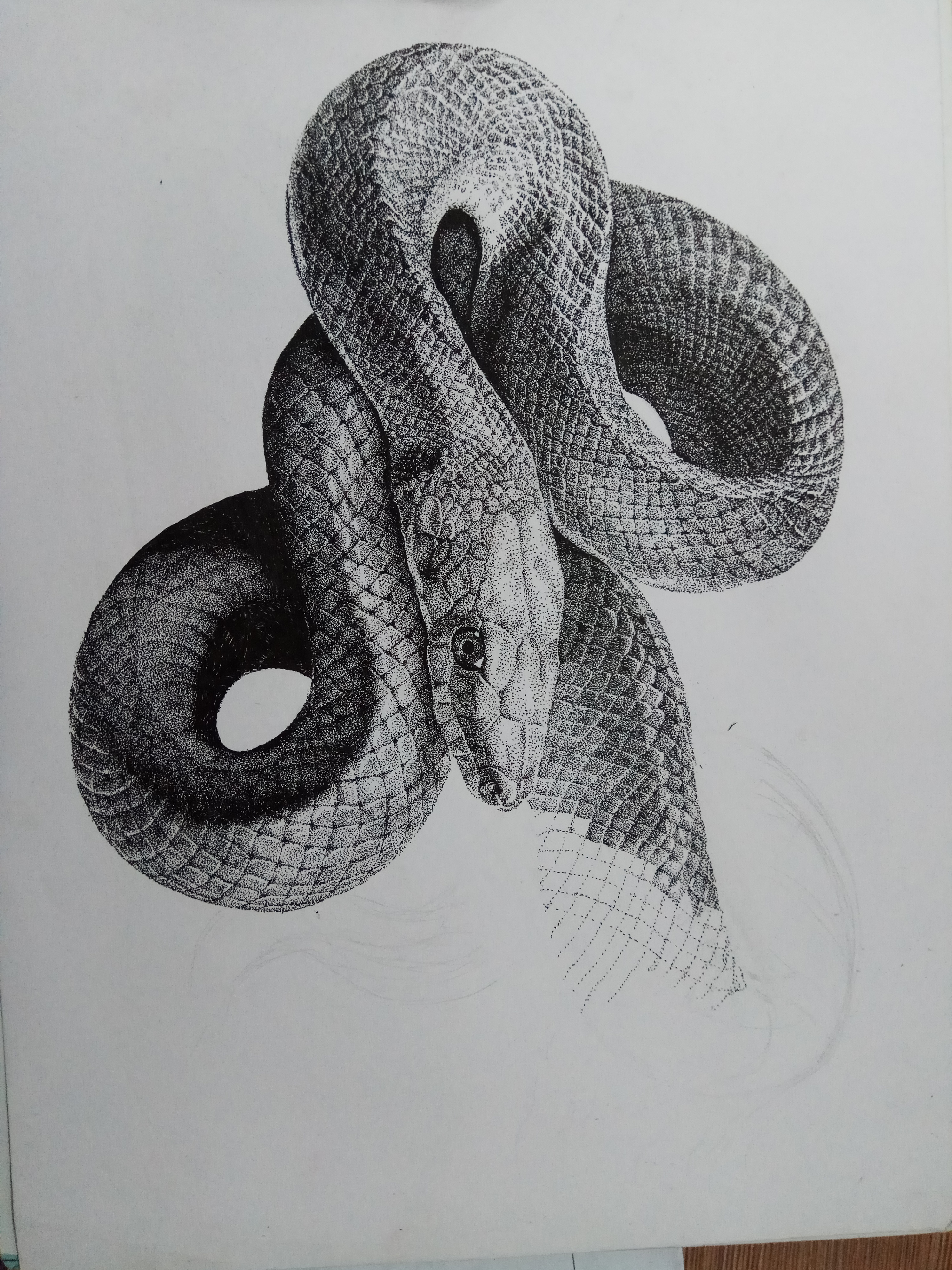 かわいいとげのある茂みの毒蛇漫画 | プレミアムベクター