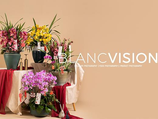 年宵花拍摄|静物摄影|栢蘭视觉