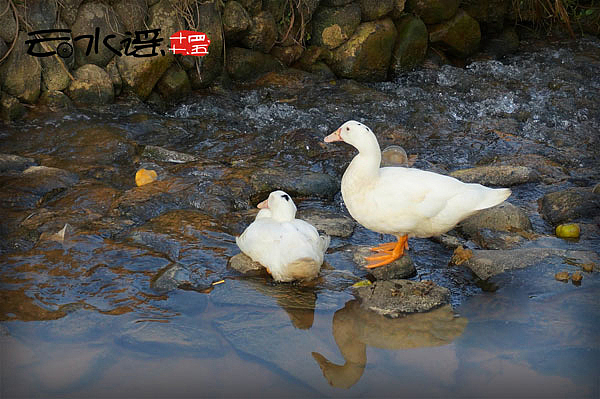 谣不可及 【 汕头 。南靖 】（图ZMjAyMzEyMDQ=） - 风光摄影 - 站酷设计师丁满仔原创素材 - 站酷ZCOOL