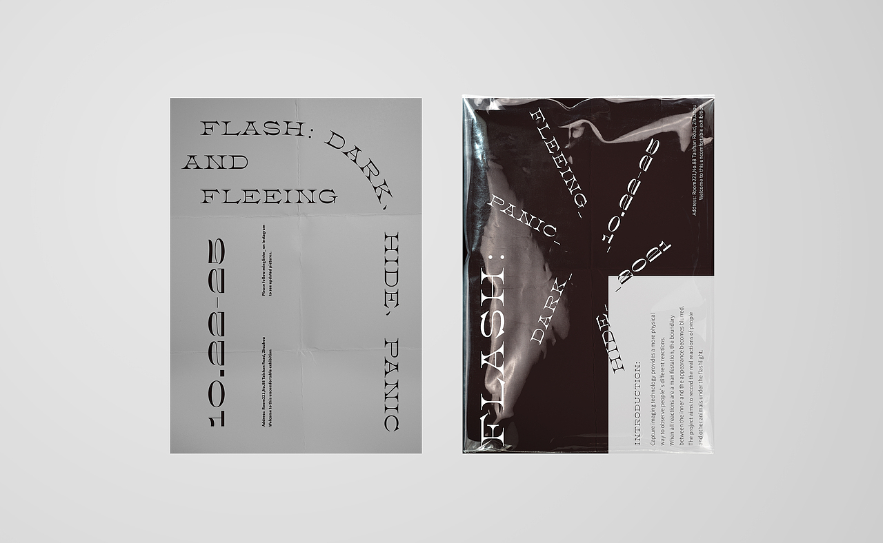 Flash：dark、hide、panic and fleeing（图ZMjgyMDk3ODU2） - 宣传物料 - 站酷设计师贺铭琳原创素材 - 站酷ZCOOL