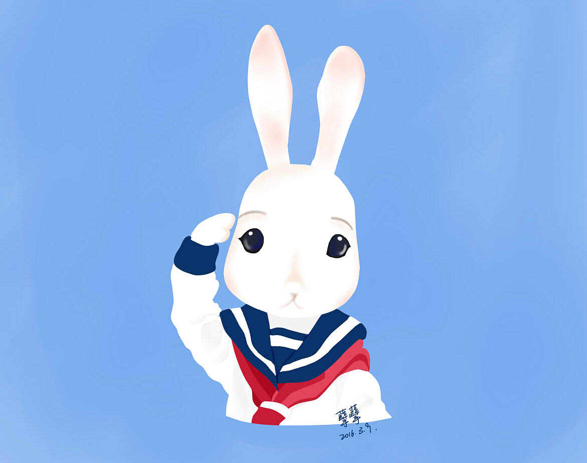 穿海魂衫的兔子