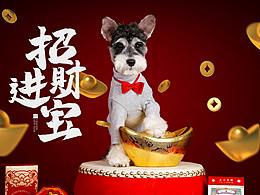 雪納瑞合集——寵愛拾光寵物攝影