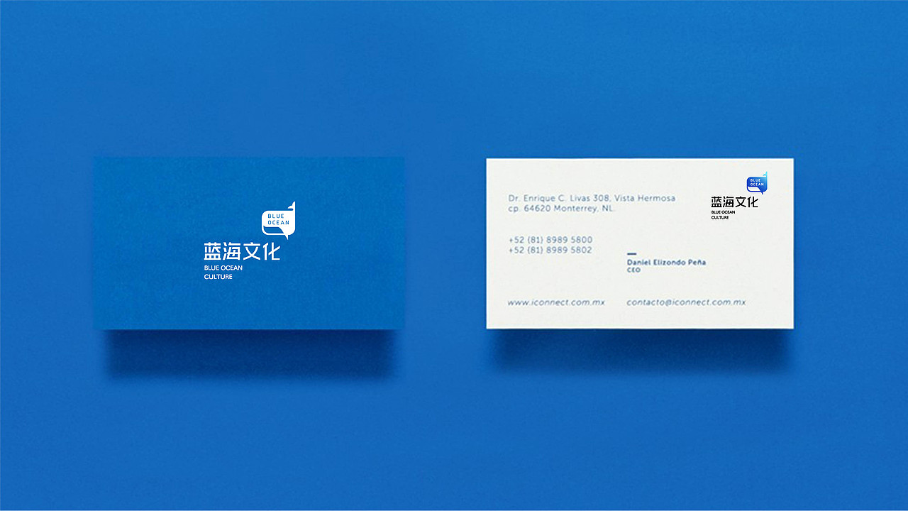 蓝海文化公司LOGO展示