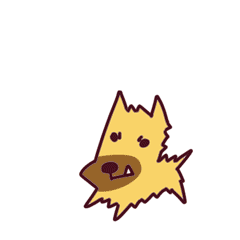 微信表情包-关爱土狗重置版