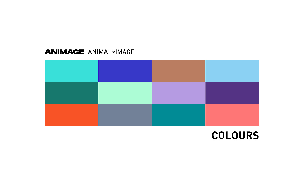 ANIMAGE丨卡通动物图案设计