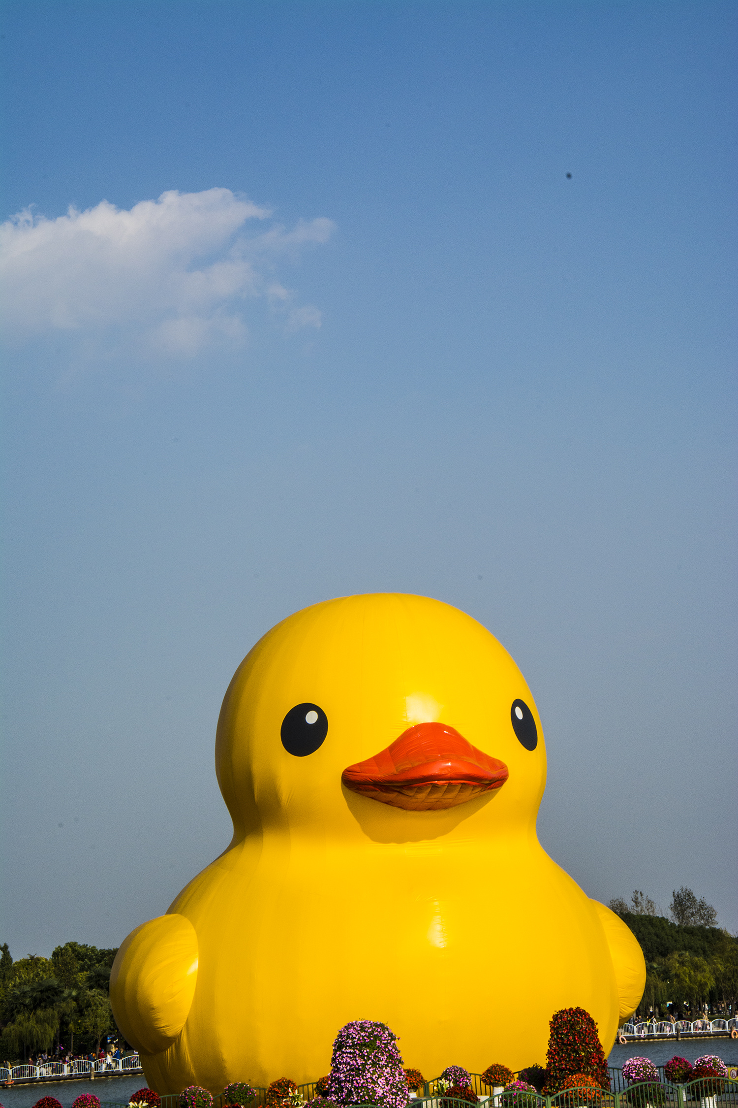 儿童节可爱的小黄鸭高清图片下载-正版图片500399463-摄图网