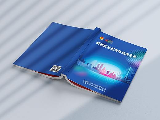 杨浦区社区青年先锋名录 - 画册设计 | 睿藤数码