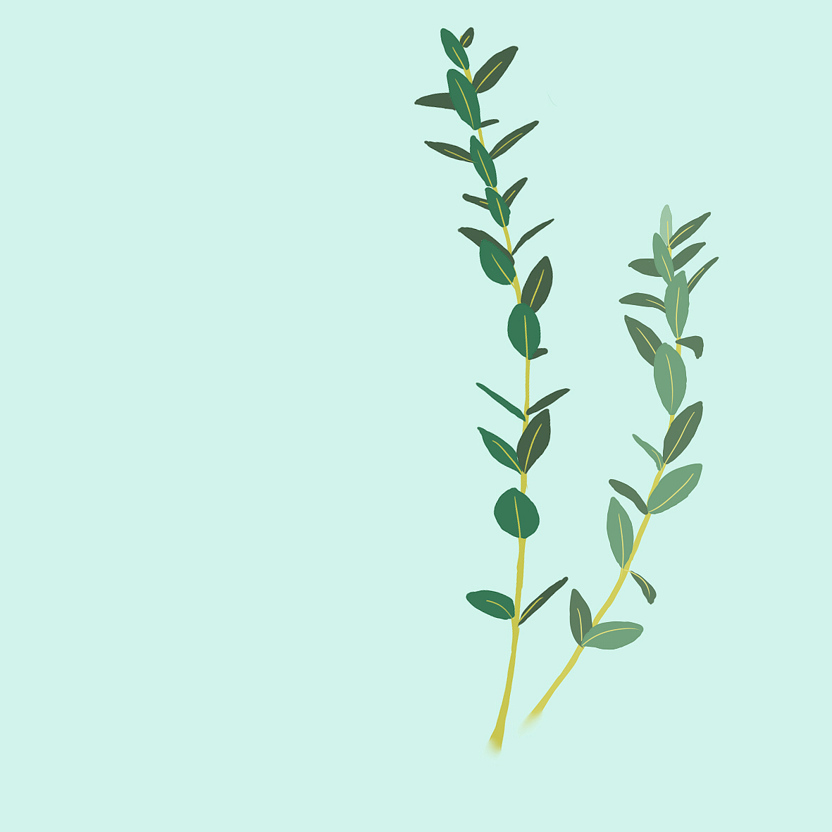 ins風植物扁平風練習（圖ZMjAyMzgwMDc2） - 創(chuàng)作習作 - 站酷設計師烏龍西柚子原創(chuàng)素材 - 站酷ZCOOL