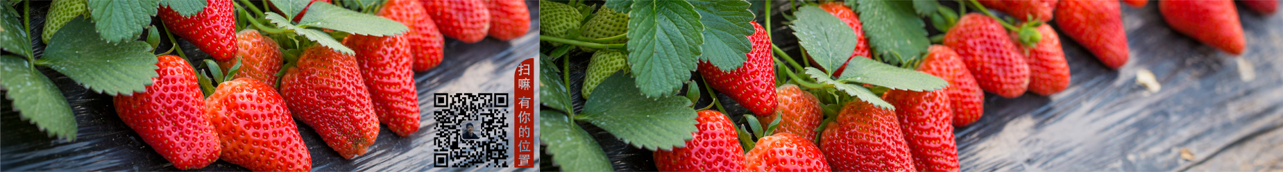 民旅的個人主頁（封面預(yù)覽） - 主頁封面設(shè)置 - 站酷設(shè)計師民旅原創(chuàng)素材 - 站酷ZCOOL