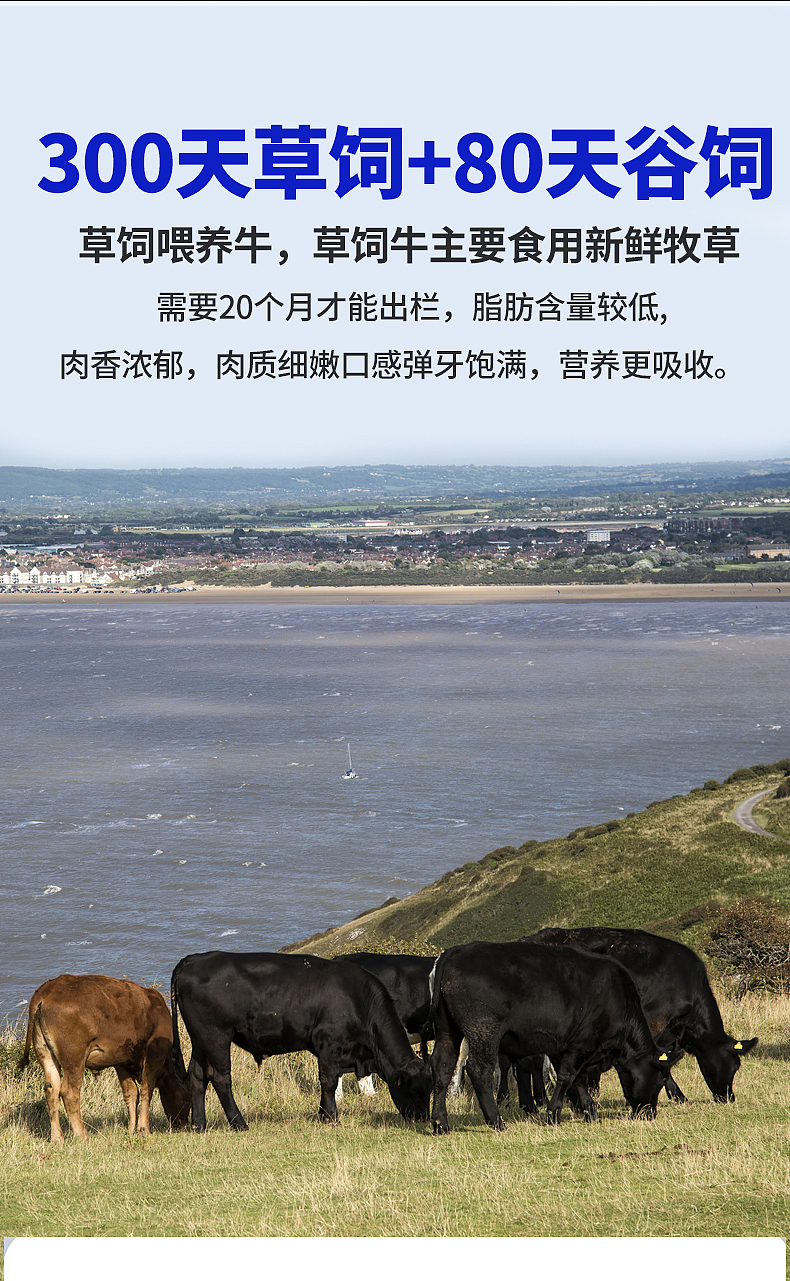 西餐牛排详情页（图ZMjg0MzExOTU2） - 电商 - 站酷设计师赵御瑾与贺乔宴原创素材 - 站酷ZCOOL