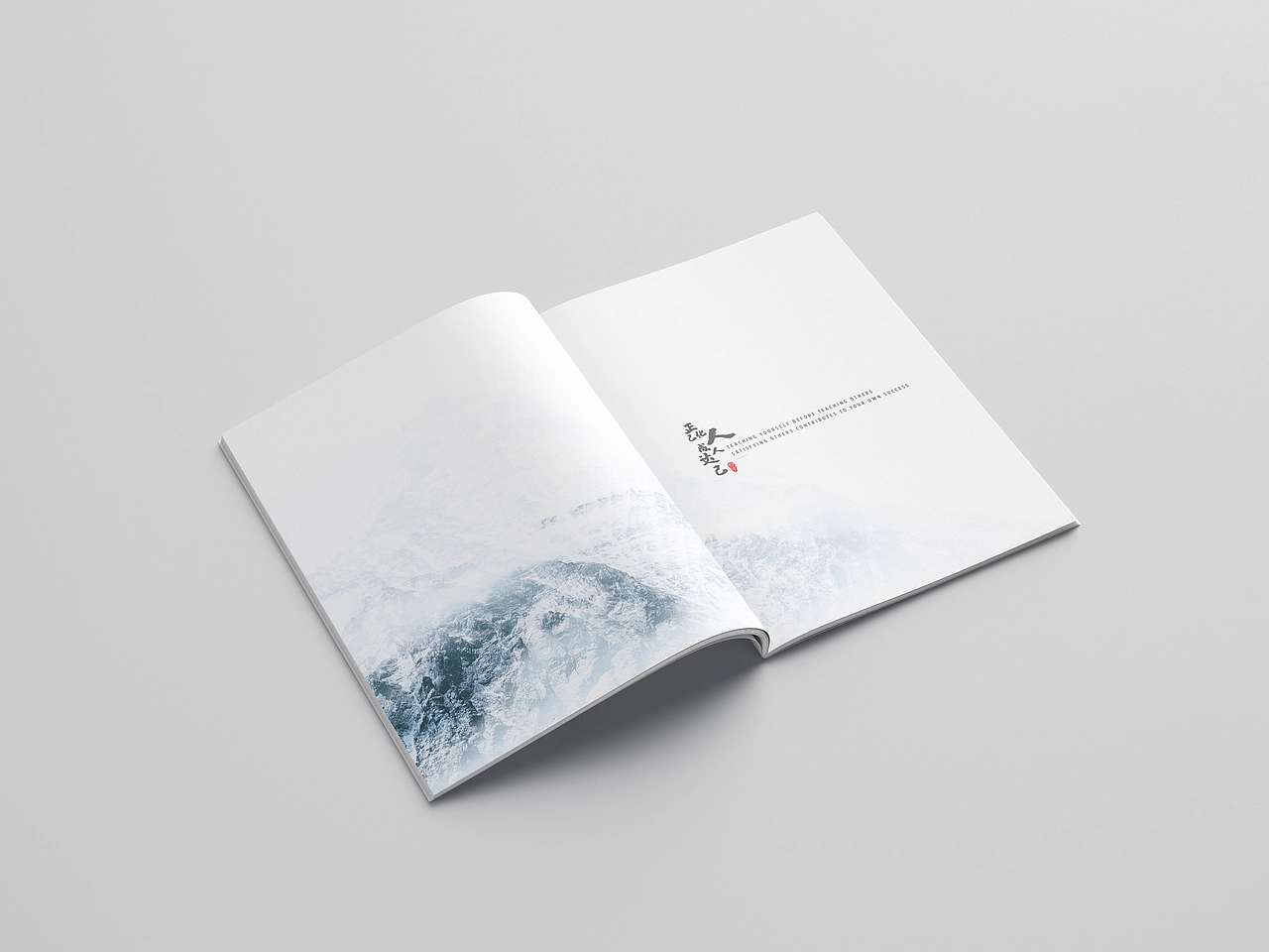 企业画册/产品手册