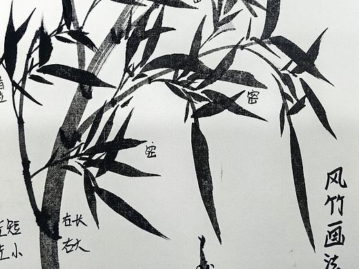 风竹-国画基础技法教程