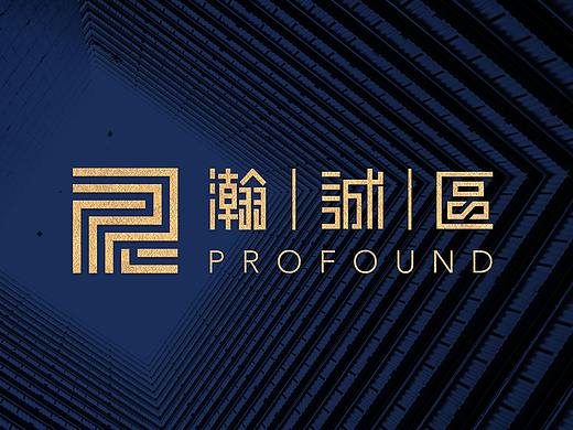 Profound品牌设计提案