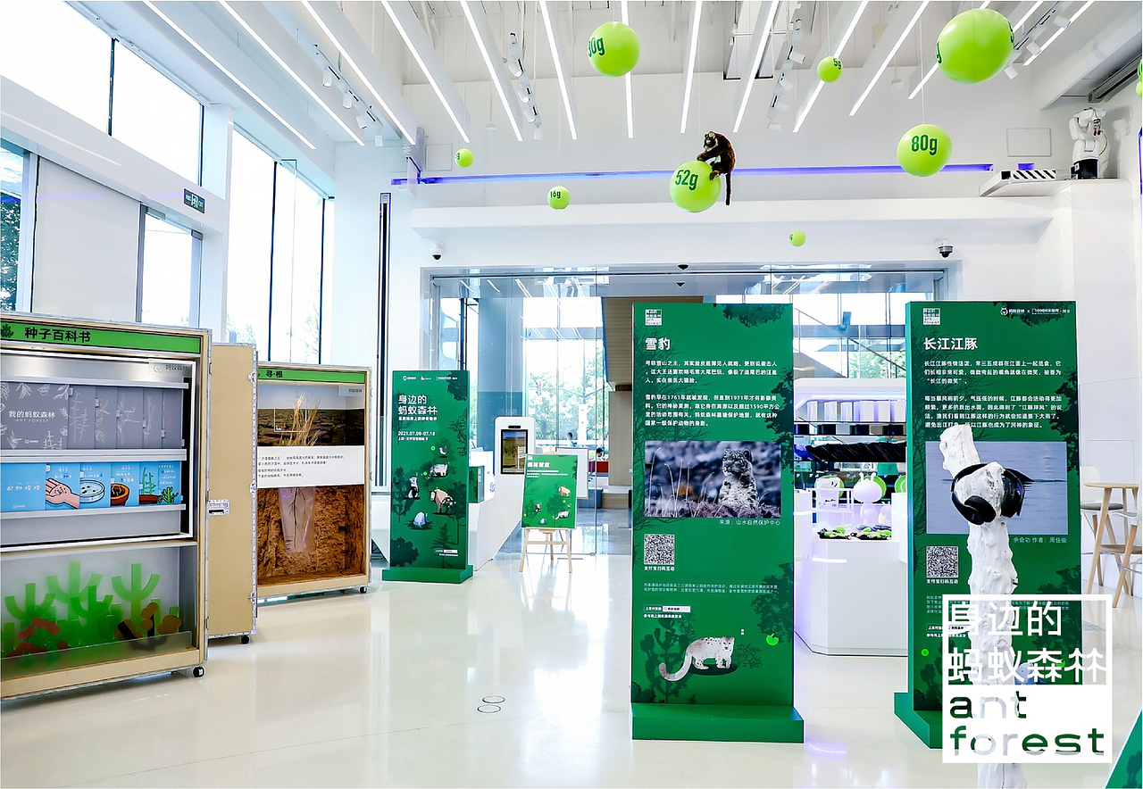 森林LAB 你身边的蚂蚁森林