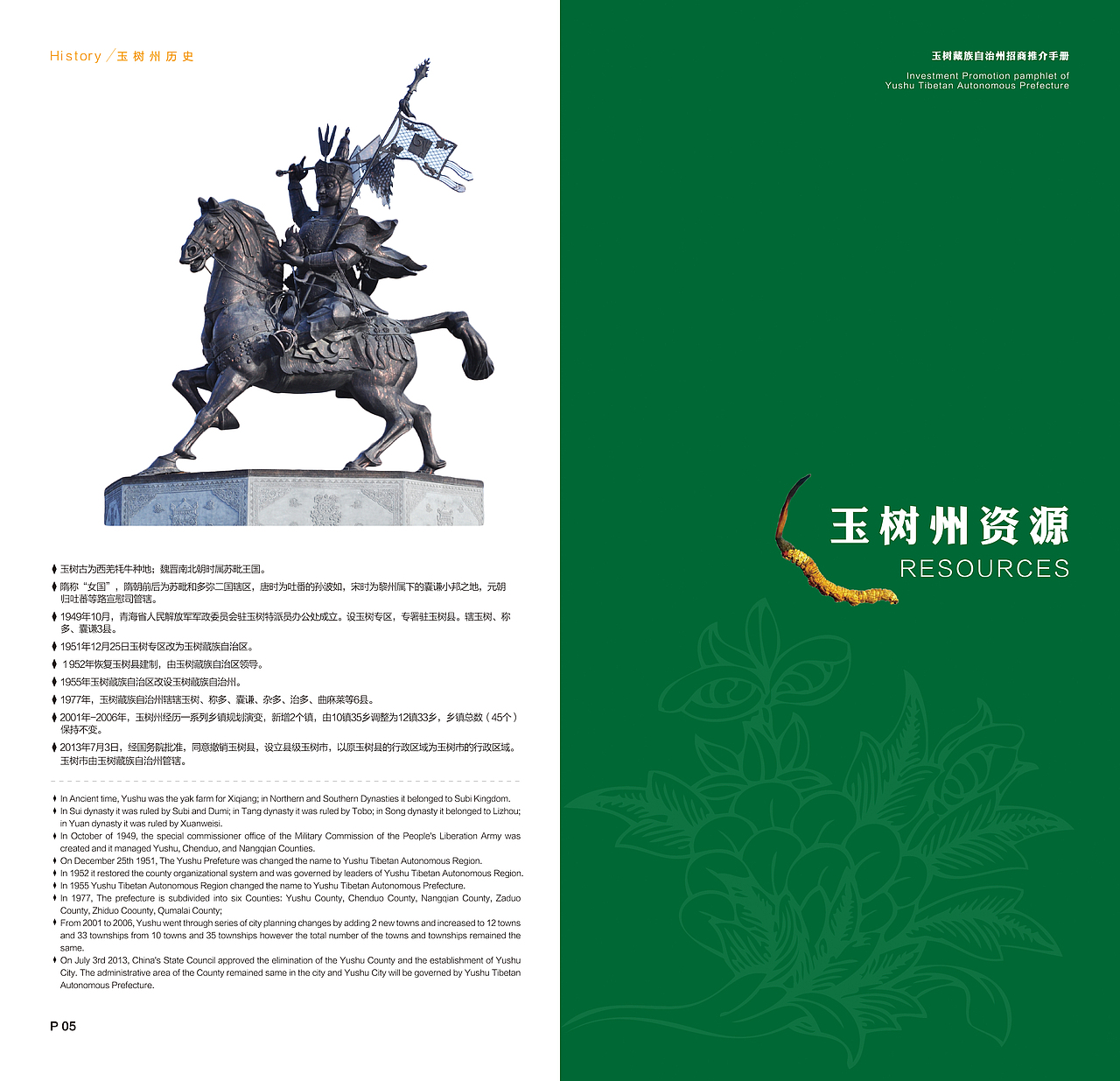 玉树藏族自治州尼泊尔招商手册设计