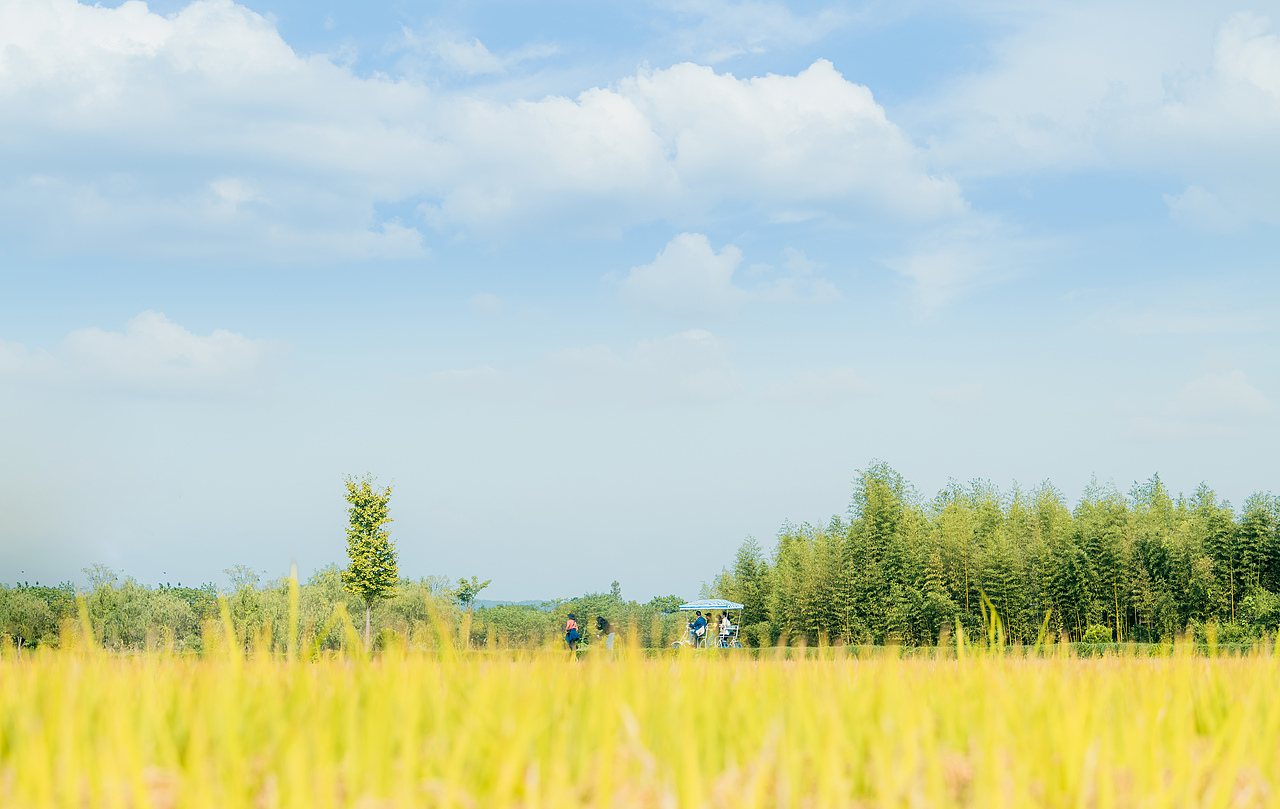 你有一份秋日来信请签收（图ZMjc0OTY2NzU2） - 人文/纪实摄影 - 站酷设计师九堡刘德华原创素材 - 站酷ZCOOL