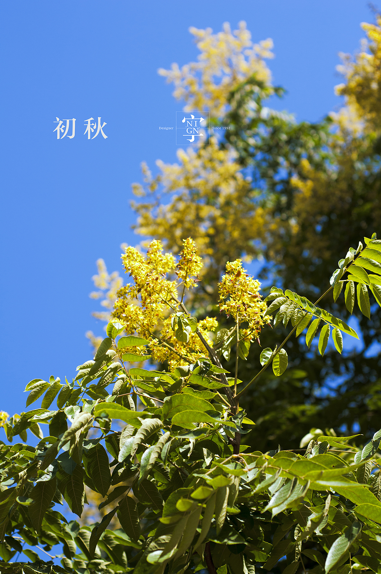 初秋/青岛/海大 -下-