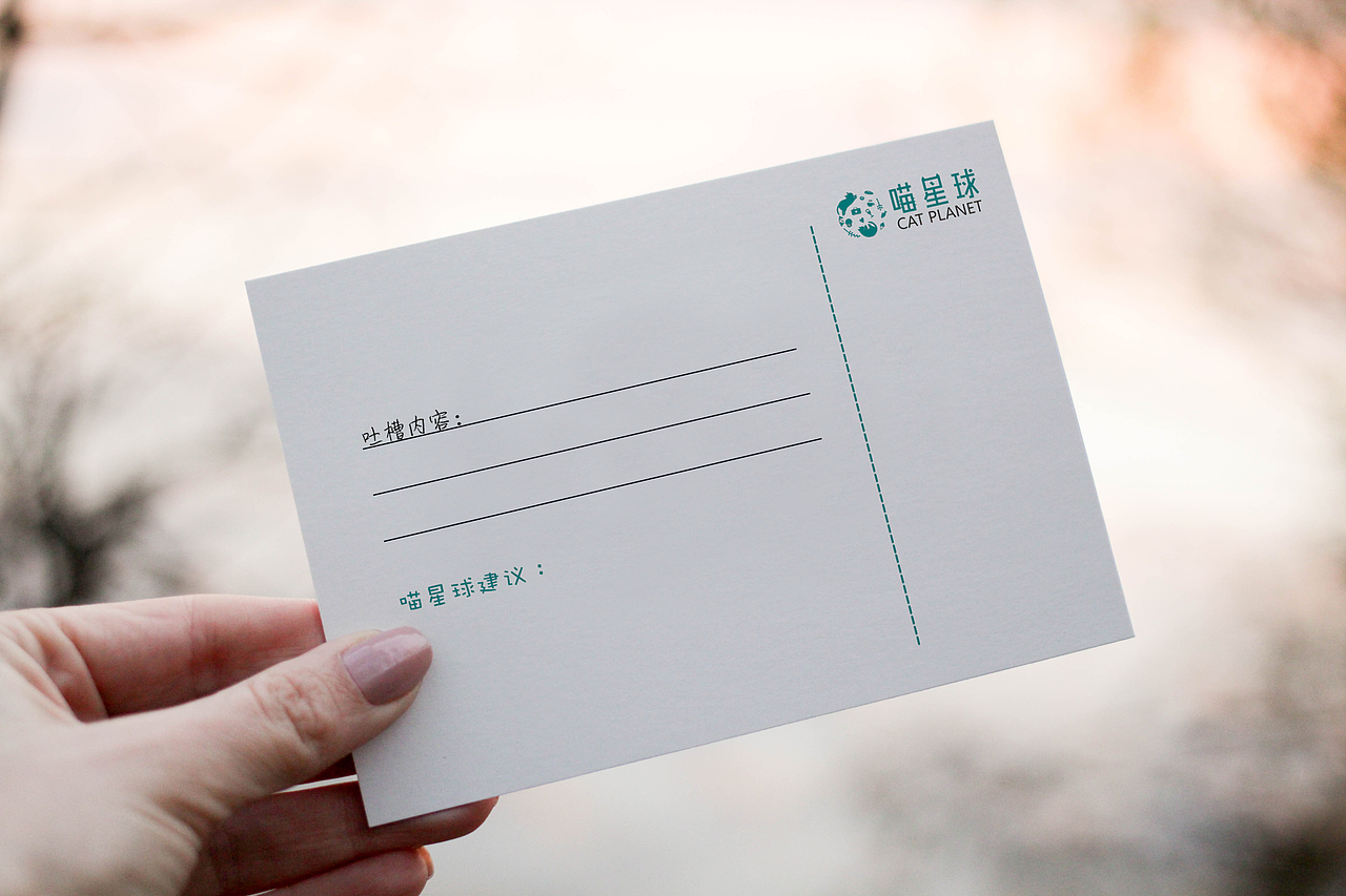 喵星球的一段经历