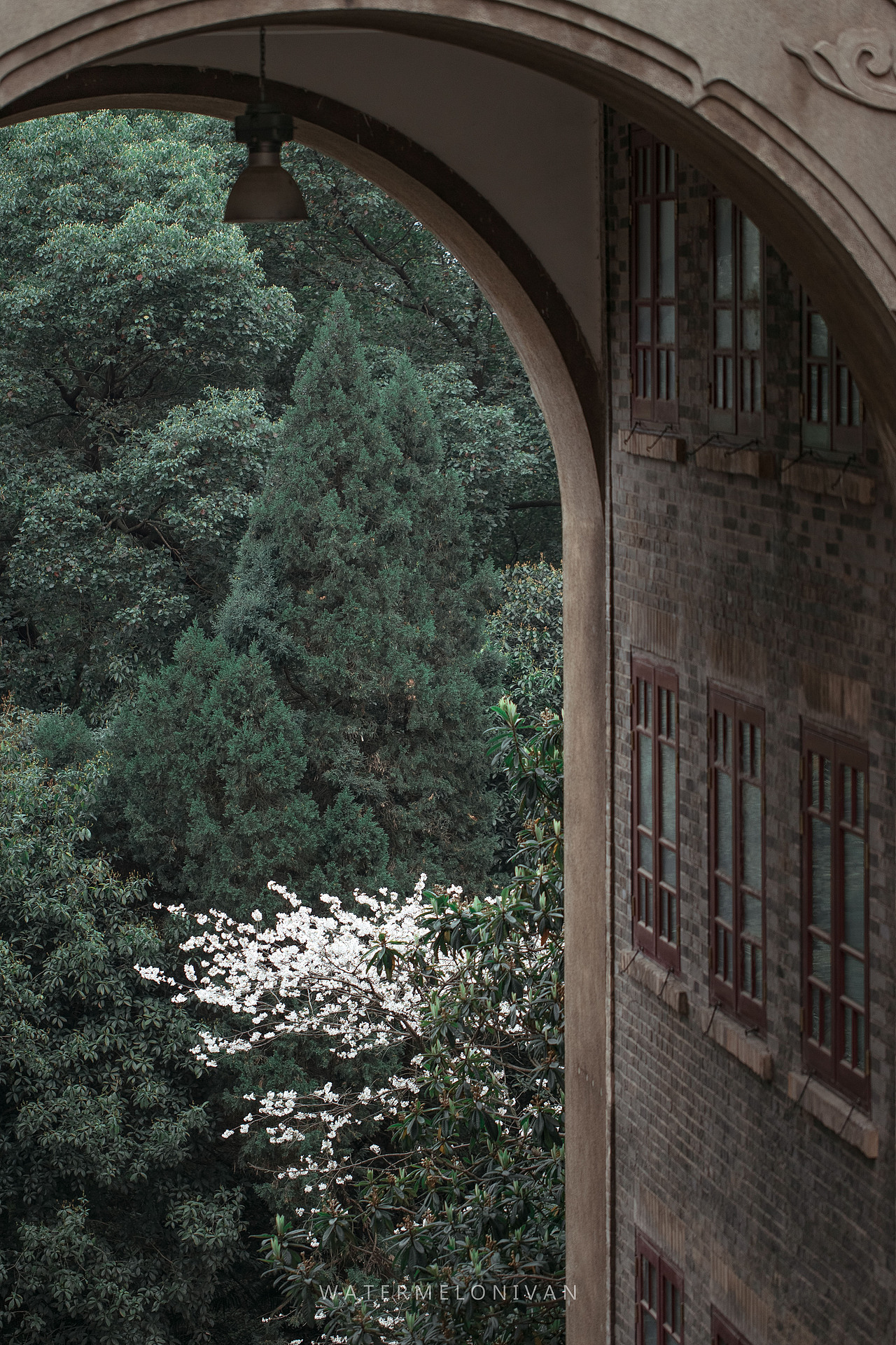 珞山樱（图ZMTA5NzUwMTk2） - 风光摄影 - 站酷设计师西瓜不要太郎原创素材 - 站酷ZCOOL