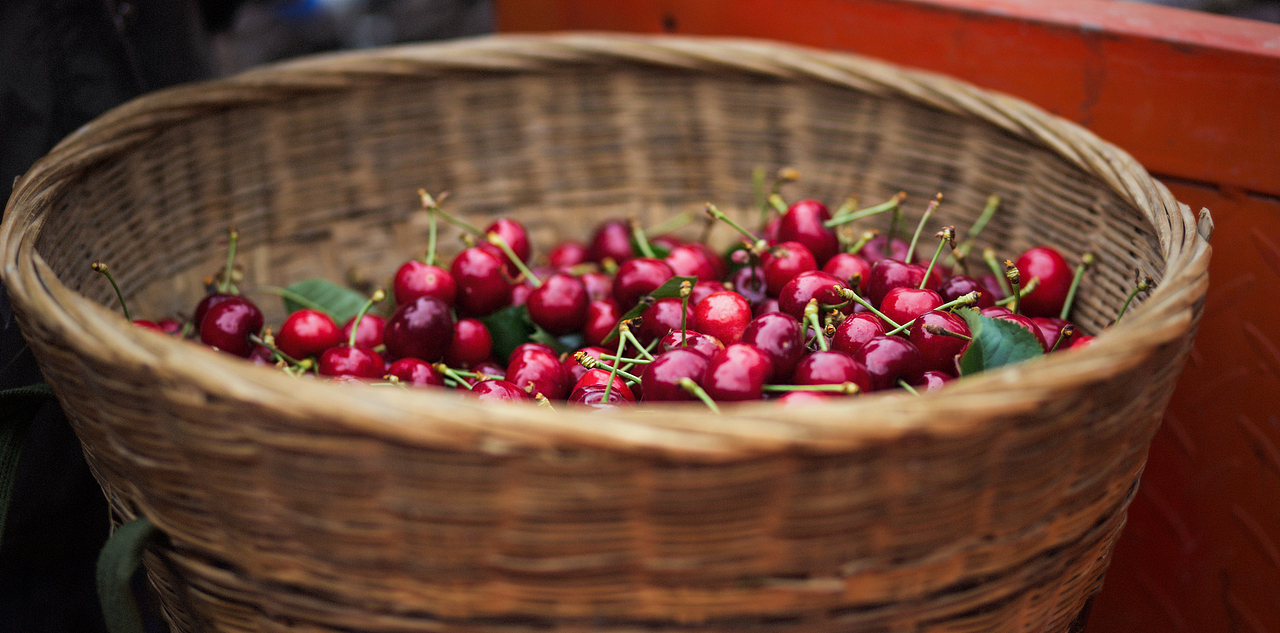 摘车厘子之行（图ZMTE2OTA0NTQ4） - 风光摄影 - 站酷设计师哈龙工作室原创素材 - 站酷ZCOOL