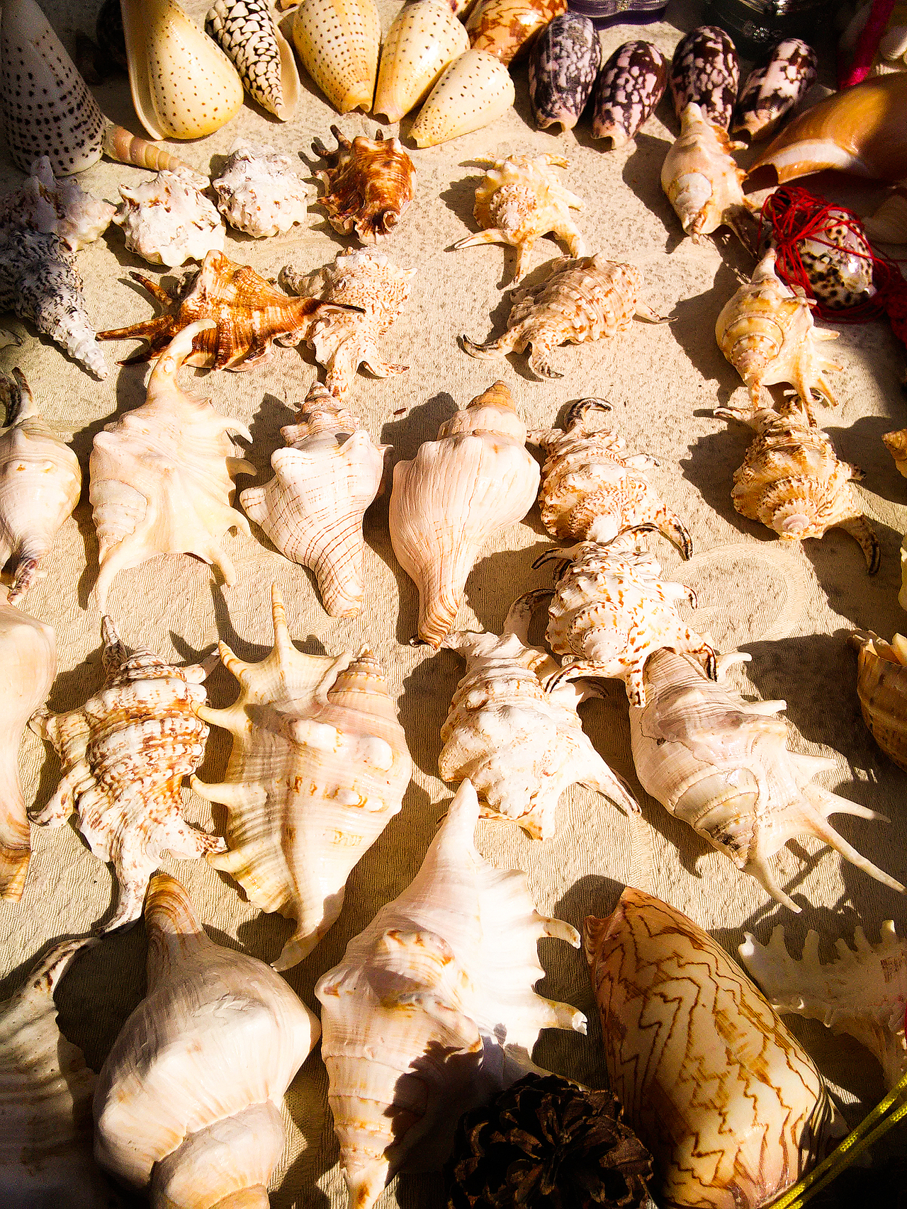 camera Raw 稍微处理一下。