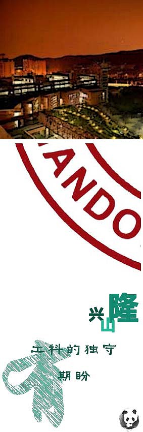 玩壞的?；盏谒膹棧▓DZMzM1NjcyMTY=） - 圖案 - 站酷設(shè)計(jì)師熊團(tuán)子原創(chuàng)素材 - 站酷ZCOOL